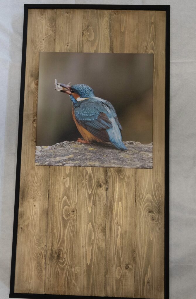 fotolijst incl 1 foto 40x40 cm